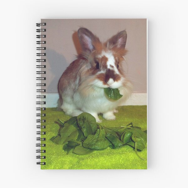 Item preview, Lionhead Rabbit designed and sold by Fennic.