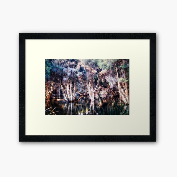 Paper Bark Trees Framed Art Print