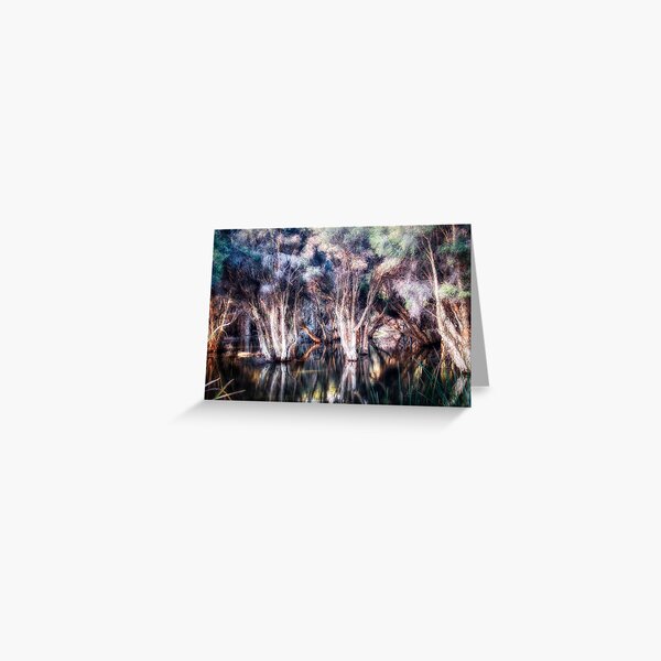 Paper Bark Trees Greeting Card