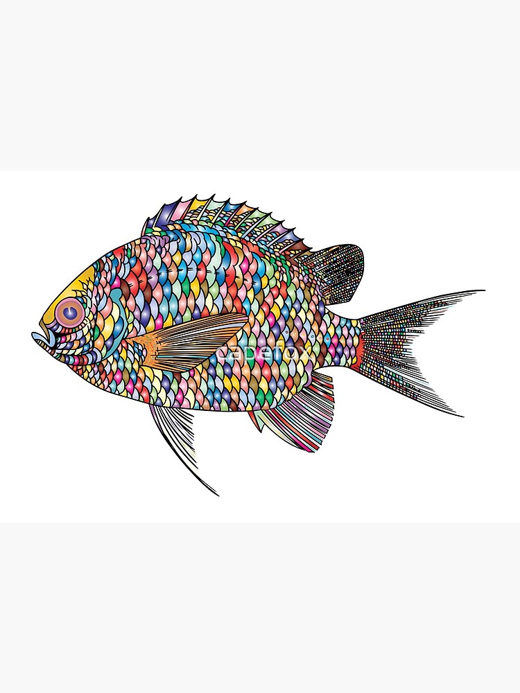 Impression Rigide Dessin De Poisson Avec Des Echelles De Nombreuses Couleurs Par Capefox Redbubble