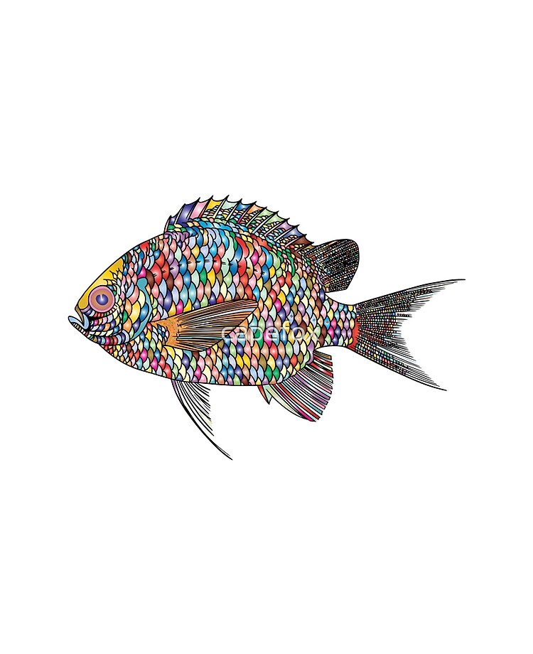 Funda y vinilo para iPad «Dibujo de peces con escamas de muchos colores» de capefox | Redbubble Funda y vinilo para iPad «Dibujo de peces con escamas de muchos colores» de capefox | Redbubble