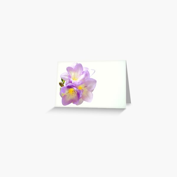 Pale cluster Greeting Card