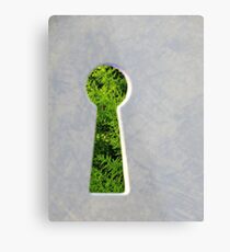Through the Keyhole Metal Print