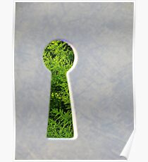 Through the Keyhole Poster