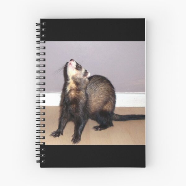 Item preview, Polecat Ferret Looking Up designed and sold by Fennic.