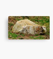 Chiseled Rock Canvas Print