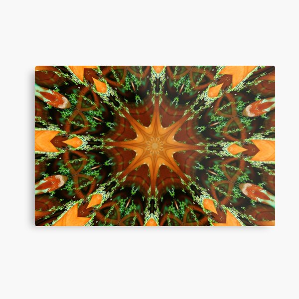 Psychodelic 3 Metal Print