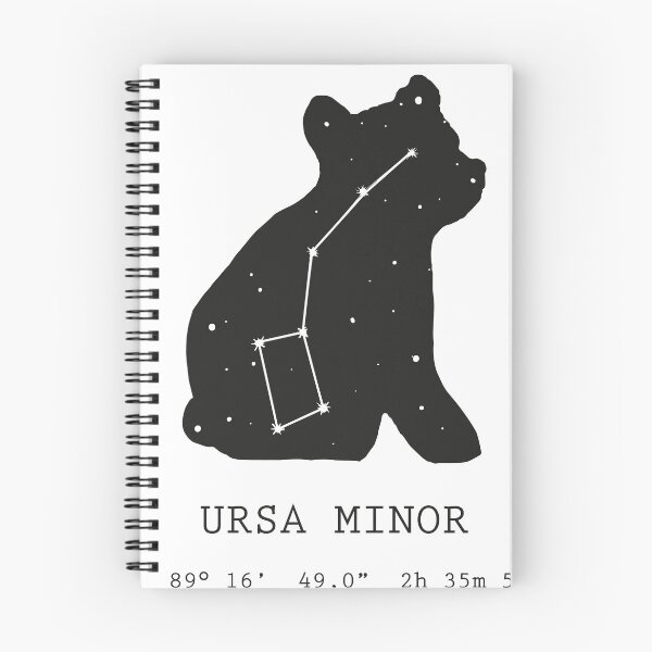 Item preview, Little Bear designed and sold by LMeseguer.