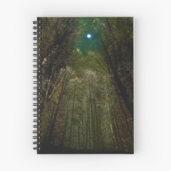 Item preview, A Stillness Full of Lights designed and sold by Cobweb Mehers.