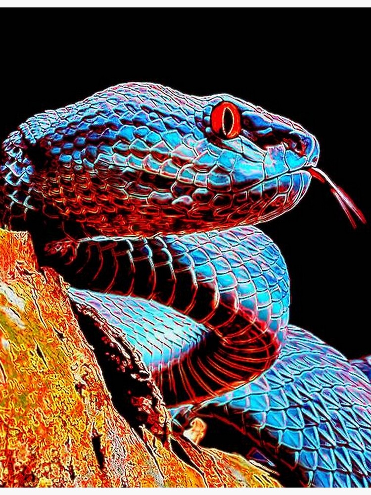 SNAKE by michaeltodd