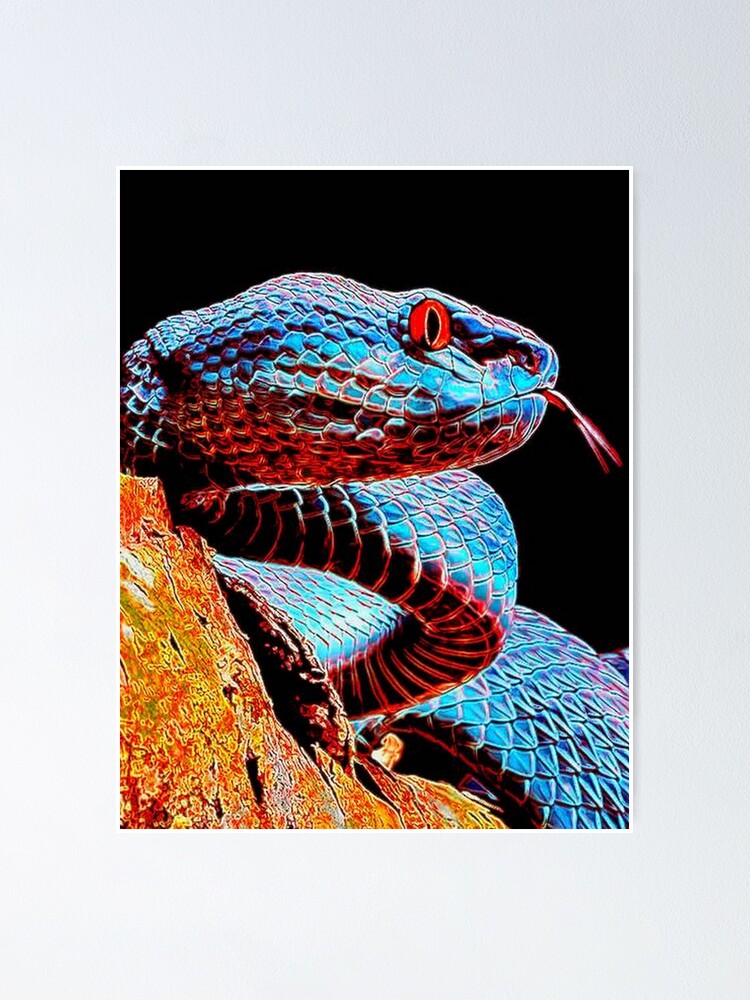 Alternate view of SNAKE Poster