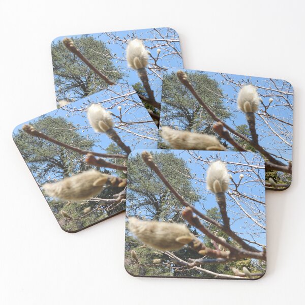 Item preview, Willows designed and sold by ttwooton.