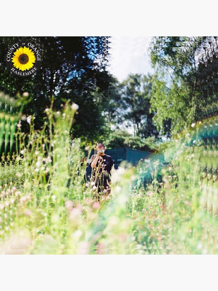 Rex Orange County - Sunflower Album Cover by charlottetsui