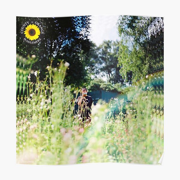 Rex Orange County - Cover des Sonnenblumenalbums Poster