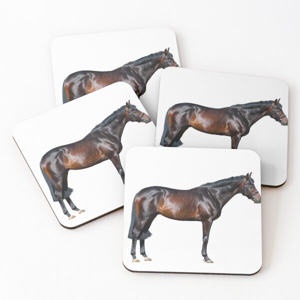Item preview, Beautiful purebred stallion standing on white designed and sold by marusya1.
