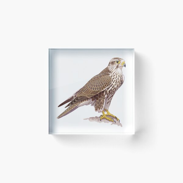 Item preview, Saker Falcon designed and sold by kokayart.
