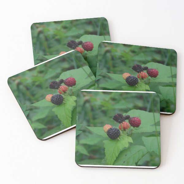 Item preview, Blackberries designed and sold by ttwooton.