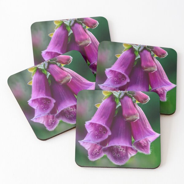 Item preview, Foxgloves designed and sold by John Ray.
