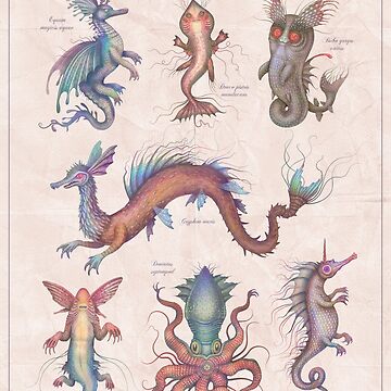 Artwork thumbnail, Creatures of the Deep by Cabinet Of Curiosities by Vlad