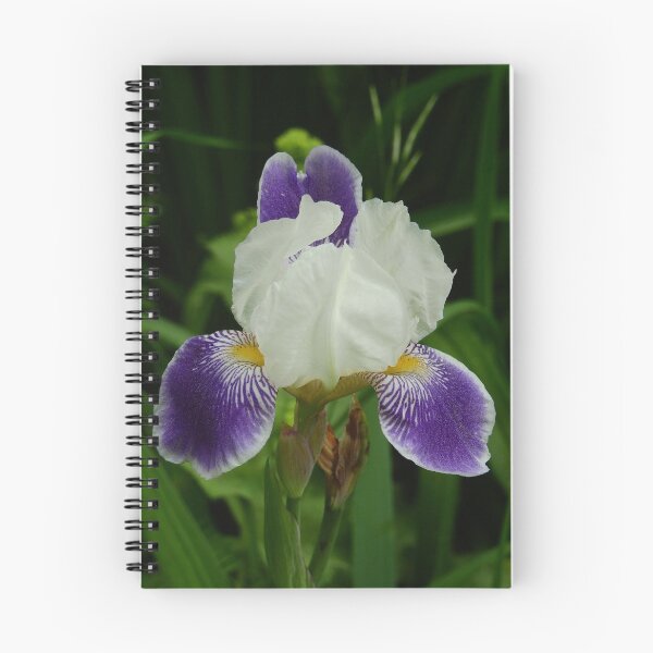 Item preview, Iris designed and sold by Cynthia Staples.