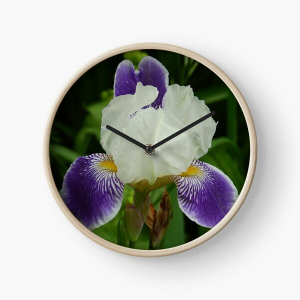 Iris Clock