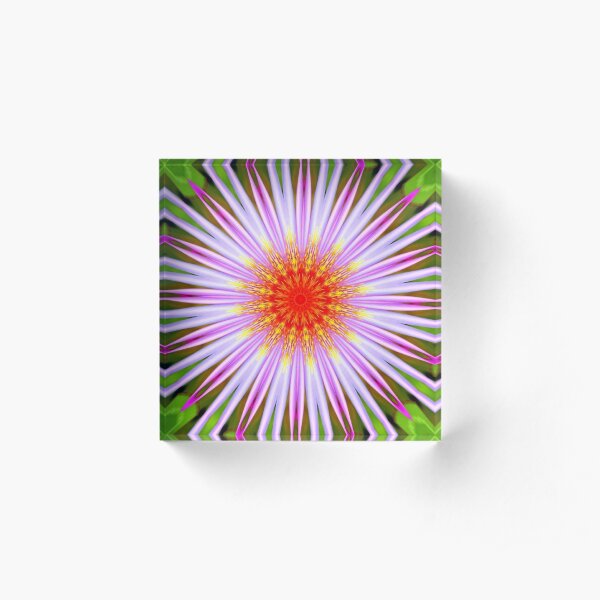 Psychodelic 4 Acrylic Block