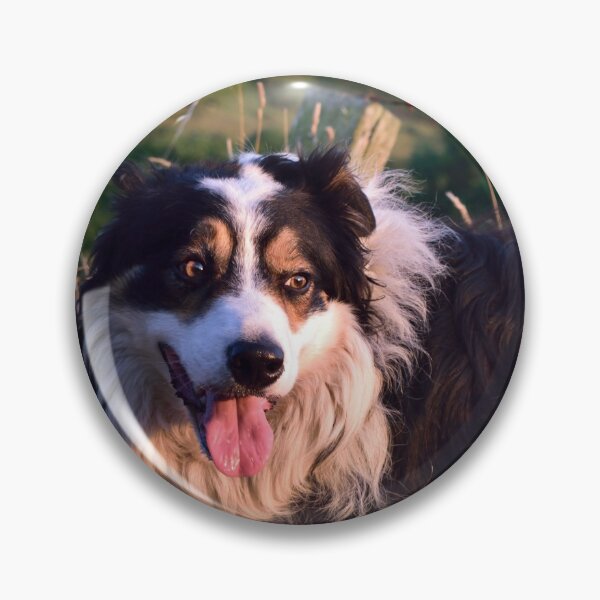 Item preview, A Dogs Life. designed and sold by Michael Haslam.