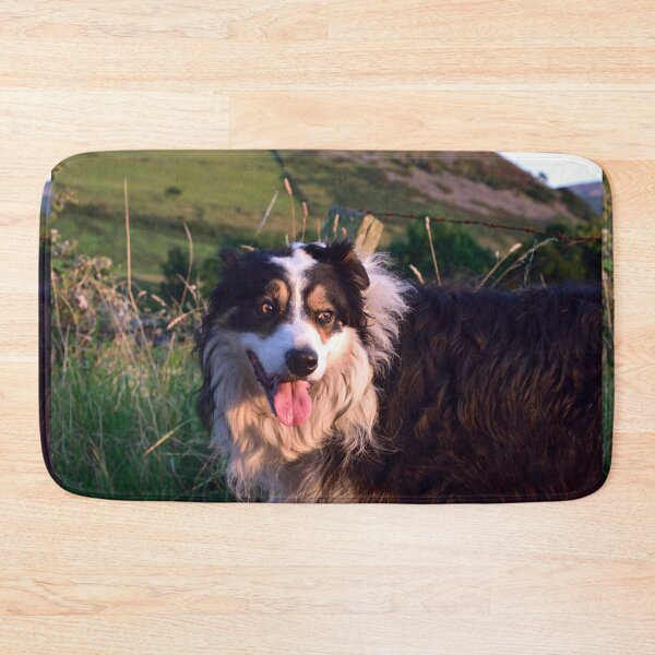 Item preview, A Dogs Life. designed and sold by Michael Haslam.