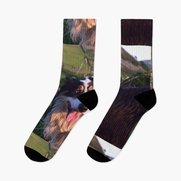 Item preview, A Dogs Life. designed and sold by Michael Haslam.