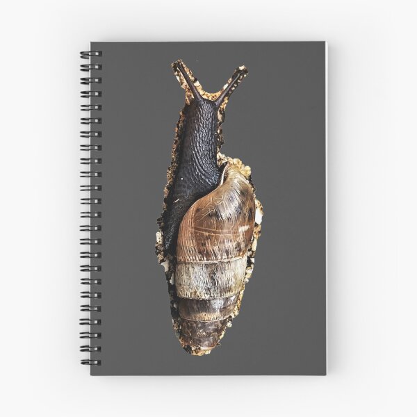 Item preview, Black snail designed and sold by 57victor.