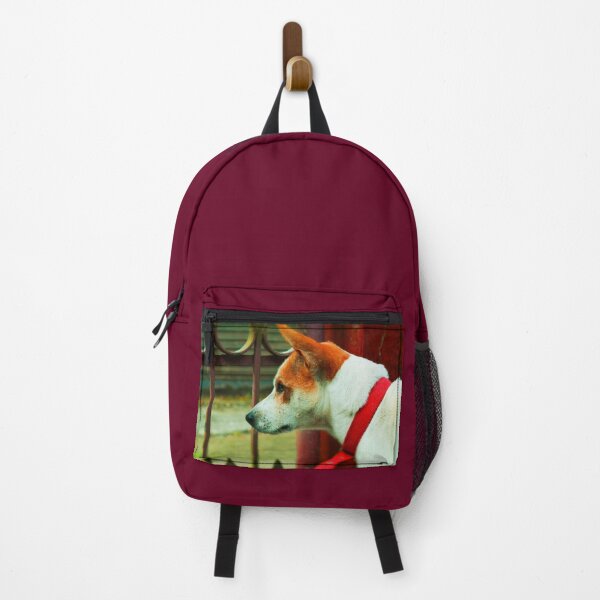Item preview, Dog Searching Freedom designed and sold by ZengoClub.