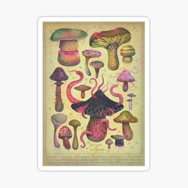 The Fungus Kingdom Sticker