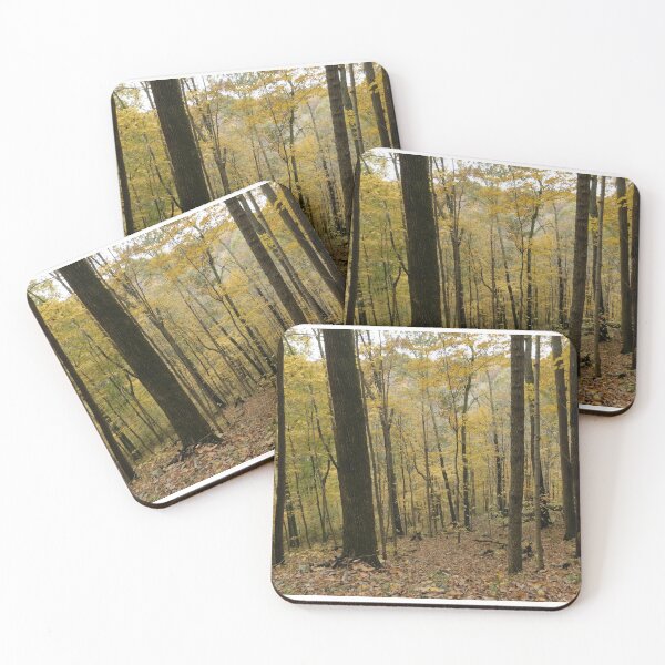 Item preview, Fall Forest designed and sold by ttwooton.