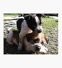 Best Friends Fotodruck