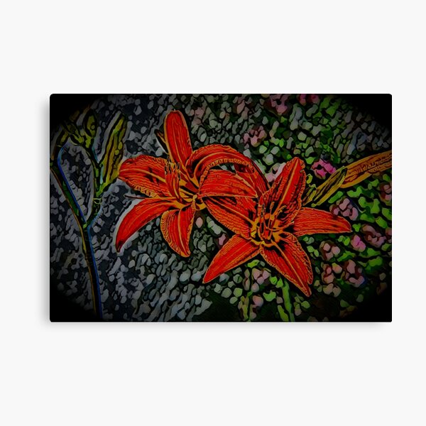 Nightblooming Daylily Flowers Canvas Print