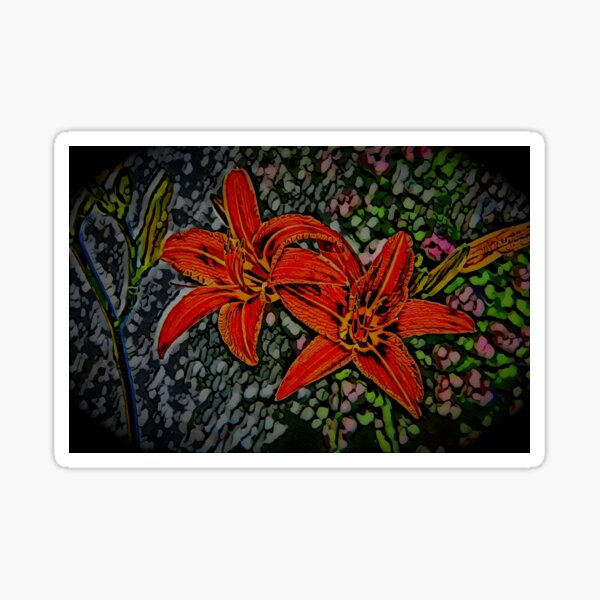 Nightblooming Daylily Flowers Sticker