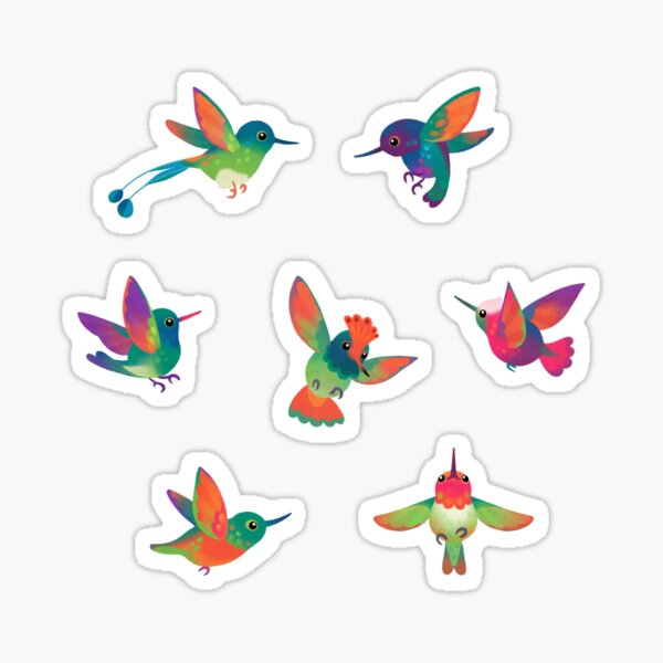 Colibri Sticker