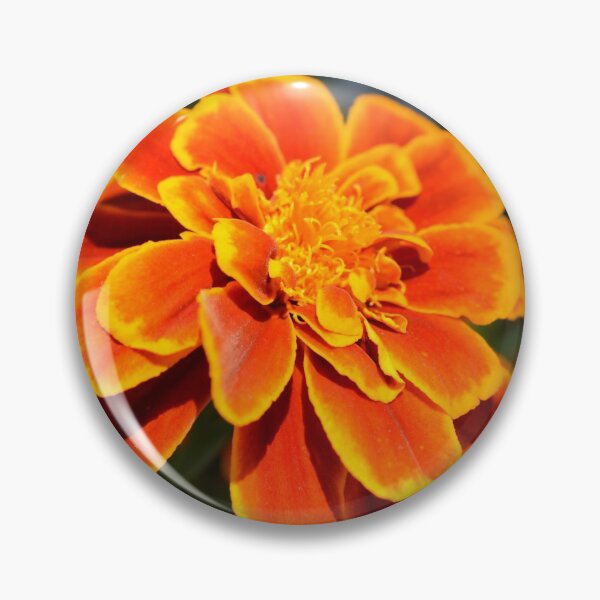 Item preview, Orange-Yellow Flower designed and sold by jstxrm.