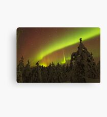 Auroral Arc over Trees Canvas Print