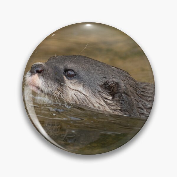 Item preview, Swimming Otter designed and sold by rawshutterbug.