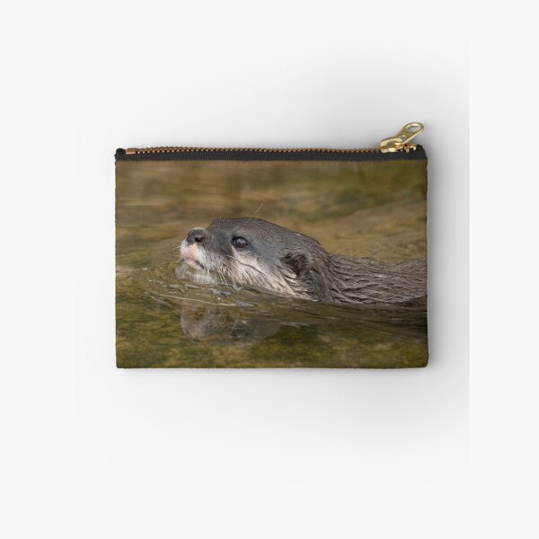 Item preview, Swimming Otter designed and sold by rawshutterbug.