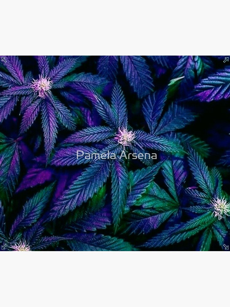 Psychedelic Marijuana Cannabis Ganja Print by xpressio
