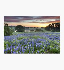 Bluebonnet Field Sunset in the Texas Hill Country Photographic Print