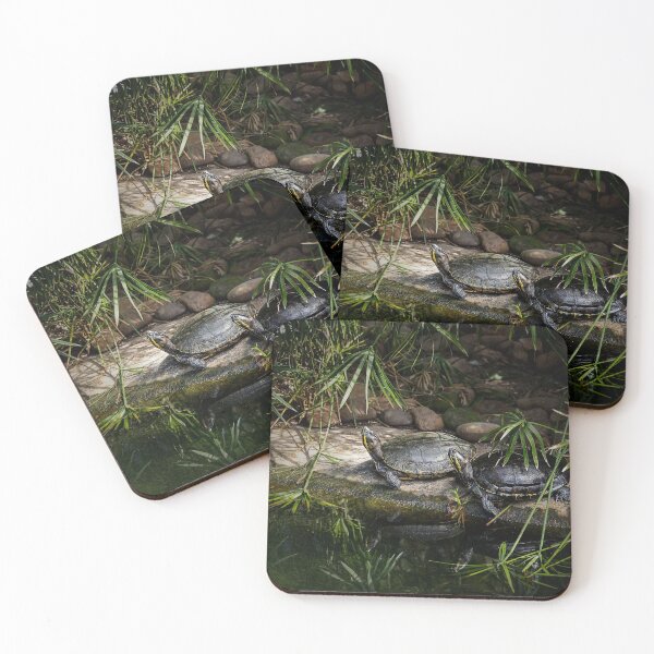 Item preview, Pair of Turtles Bask in the Sun designed and sold by KbytesOfJax Outdoor and Nature.