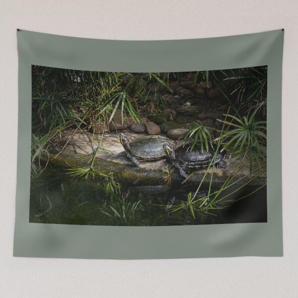Item preview, Pair of Turtles Bask in the Sun designed and sold by KbytesOfJax Outdoor and Nature.