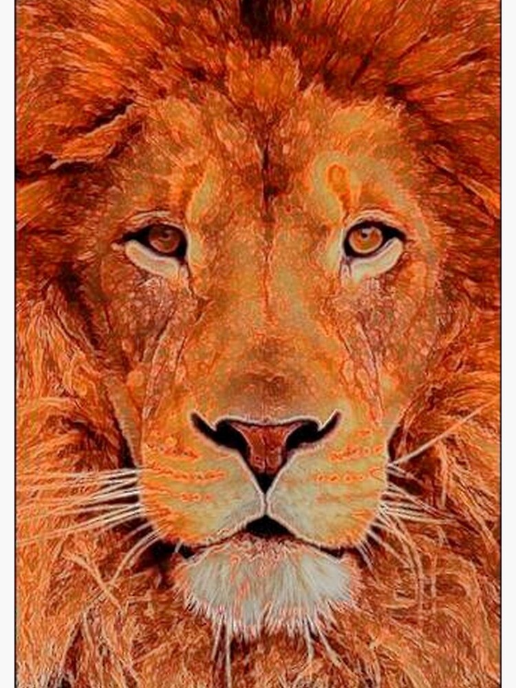 KING OF THE JUNGLE by michaeltodd