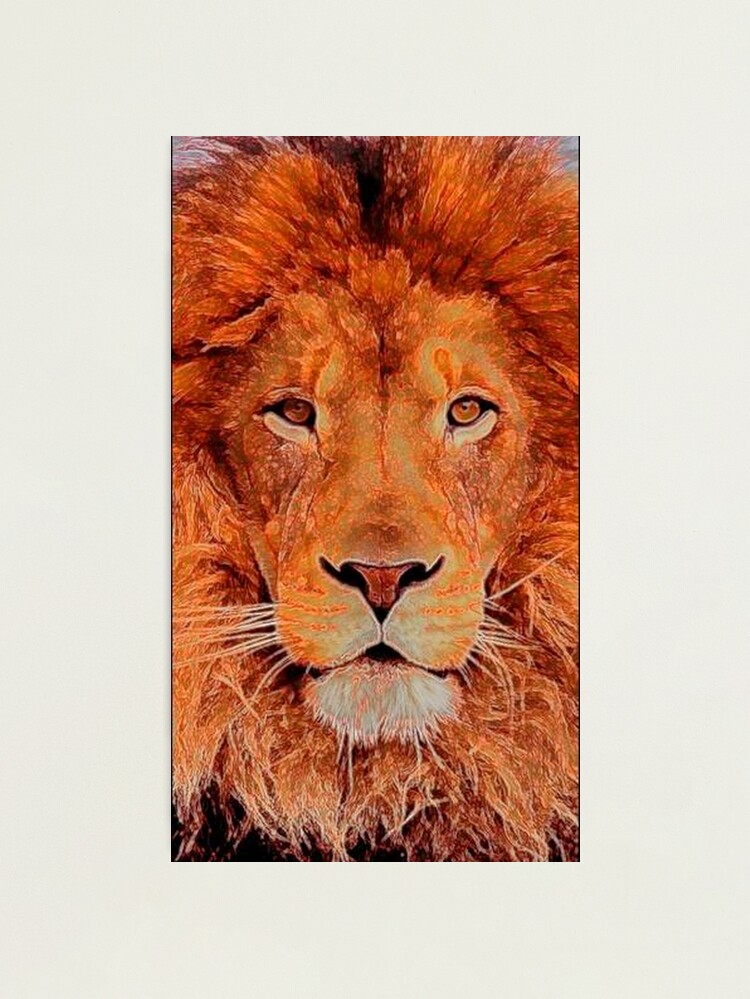 Alternate view of KING OF THE JUNGLE Photographic Print