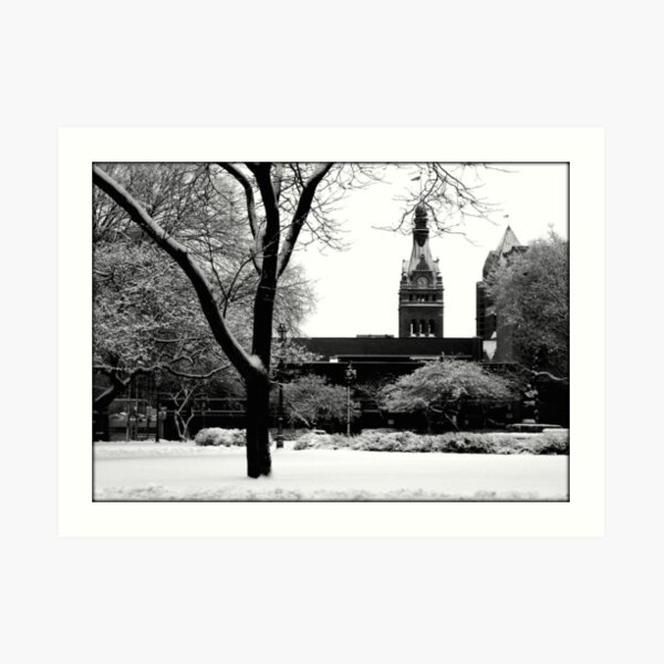Downtown Cathedral Square Park © Art Print