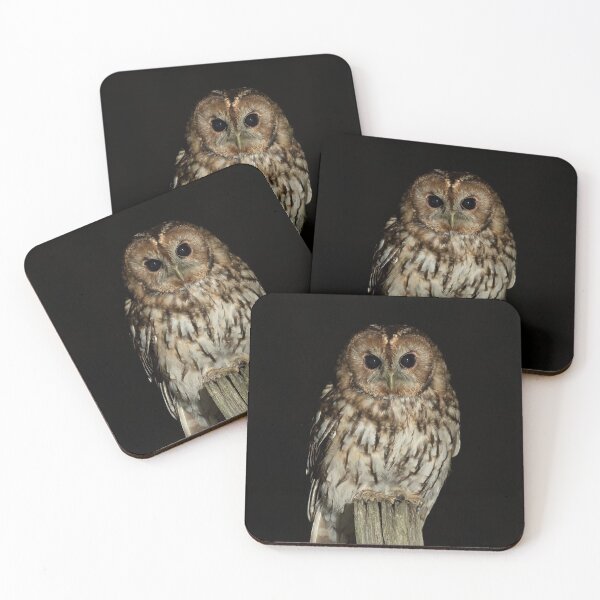 Item preview, Tawny Owl at Night designed and sold by Glenn Welch.