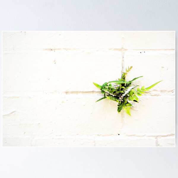 Item preview, W h i t e     W a l l     B o u q u e t designed and sold by David Mellor.